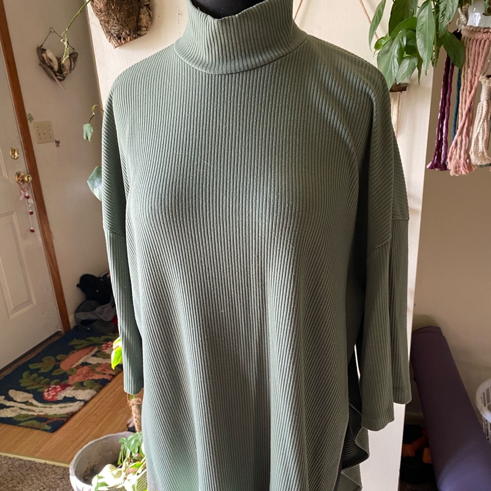 Dressed in Lala mock neck tunic size L